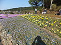 永沢寺花しょうぶ園 (48)