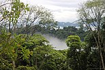 Reserva De La Biosfera De Río Plátano