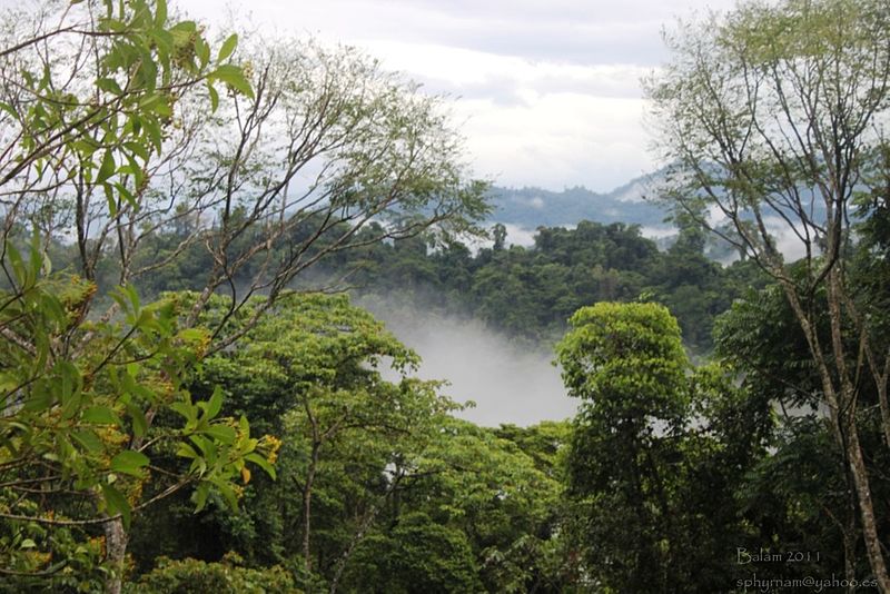 File:Zona nucleo de la RHBRP, sitio Tilopo.jpg