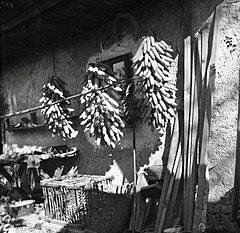 "Caufi" koruznih štrokov, Sv. Vrh 1951.jpg
