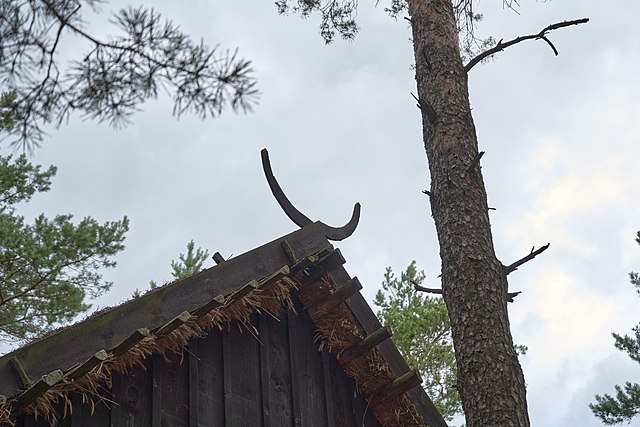 fragment dachu drewnianej chałupy z widocznymi śparogami