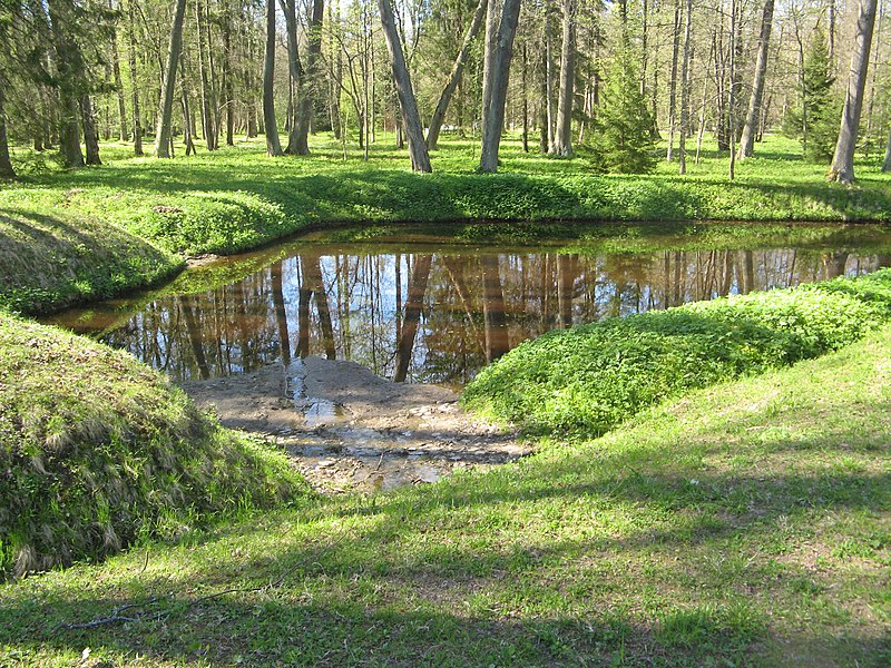 File:Ораниенбаусм. Верхний парк. Пруды западнее Липовой аллеи.jpg