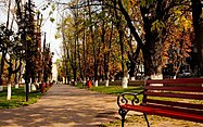 Парк імені Тараса Шевченка
