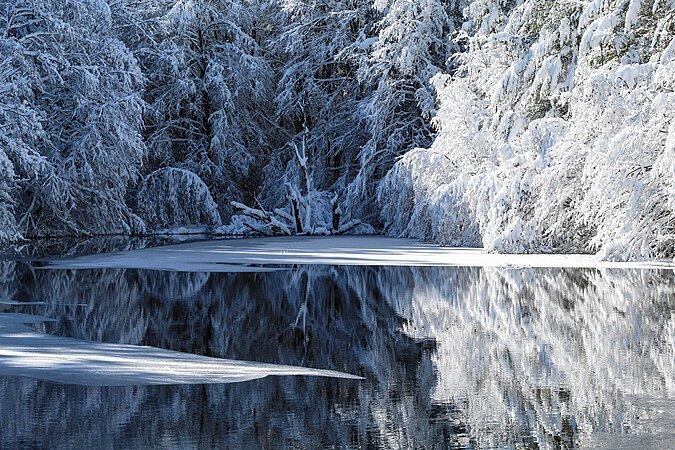 A view of a partially frozen reservoir lake and its surrounding flora in snowy winter conditions southwest of Rotino. Photo by Sentimentalna