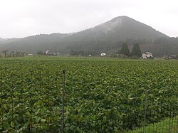 Farmland in Keihoku