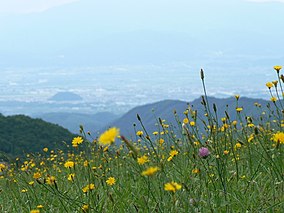 天 童 高原 Тендо-Коген Хайленд - Panoramio.jpg