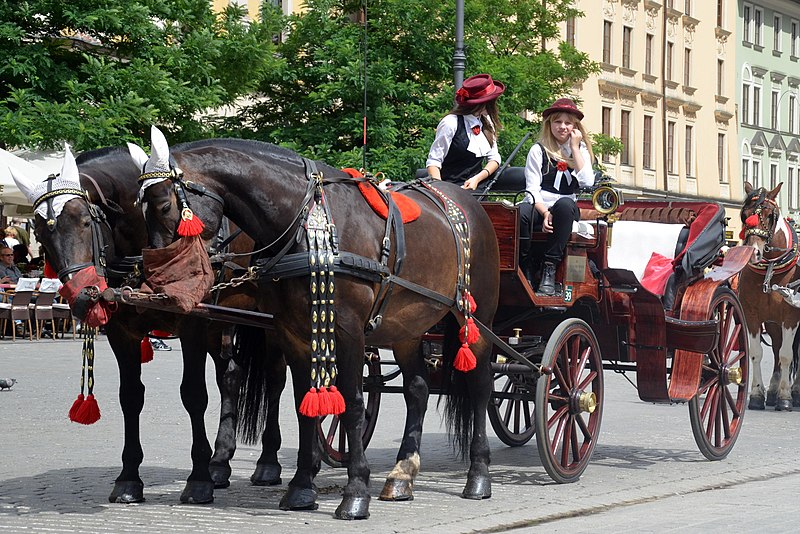 File:02014. Fiaker in Krakau.JPG