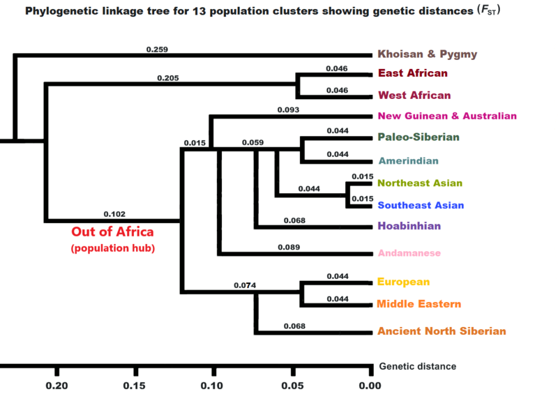 File:13 Cluster Tree.png