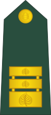 16-Slovenian Army-LTC.svg
