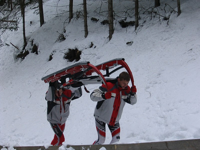 File:2005-02-20 (107) Hornschlitten-Eruopacuprennen in Kindberg, Austria.jpg