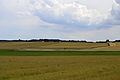 Höhenplateau im Bereich der nicht gesicherten Turmstelle Wp 10/23 in Würzberg am Odenwaldlimes