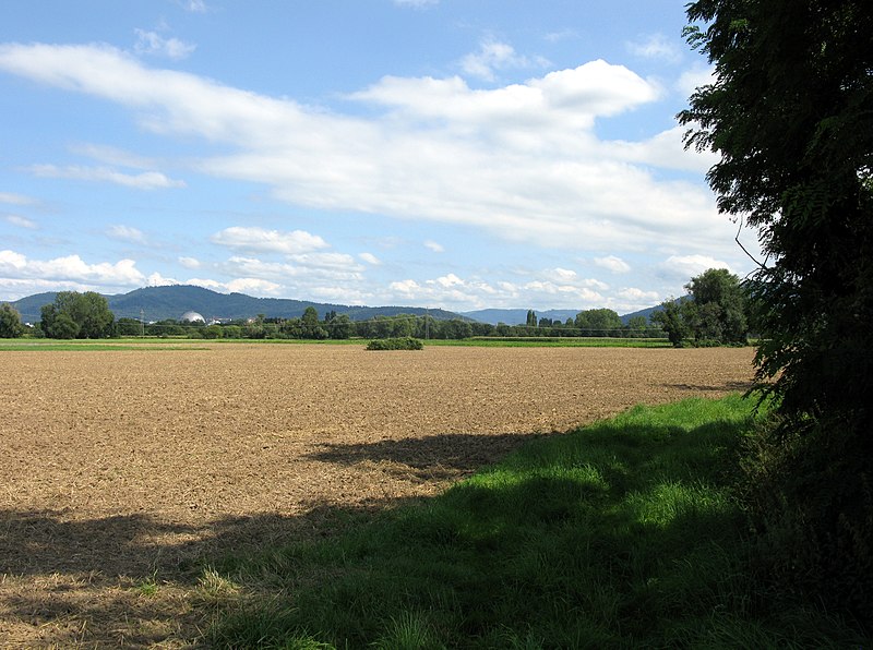 File:2021-08-20 Blick über die Felder, wo der neue Freiburger Stadtteil Dietenbach gebaut werden soll 2.jpg