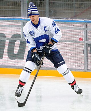<span class="mw-page-title-main">Jan Schleiss</span> Czech ice hockey player