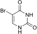 Imagen ilustrativa del artículo 5-Bromouracil