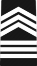AJROTC Master Sergeant Insignien