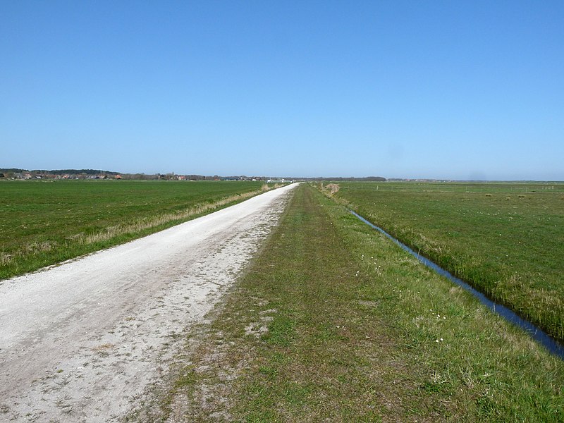 File:Aardenweg door de polders.jpg