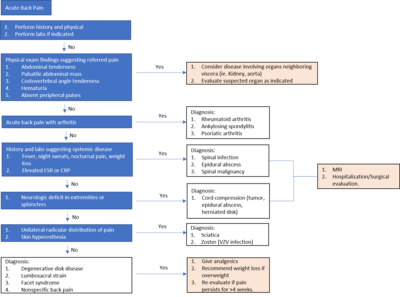 Diagnostic work-up for acute back pain. Acutebackpainworkup.png