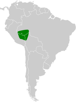 Distribución geográfica del hormiguero de Goeldi.