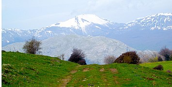 Алессандрия дель Карретто (CS), 2010, sui chemini del Pollino verso il Monte Sparviere.  (9) .jpg