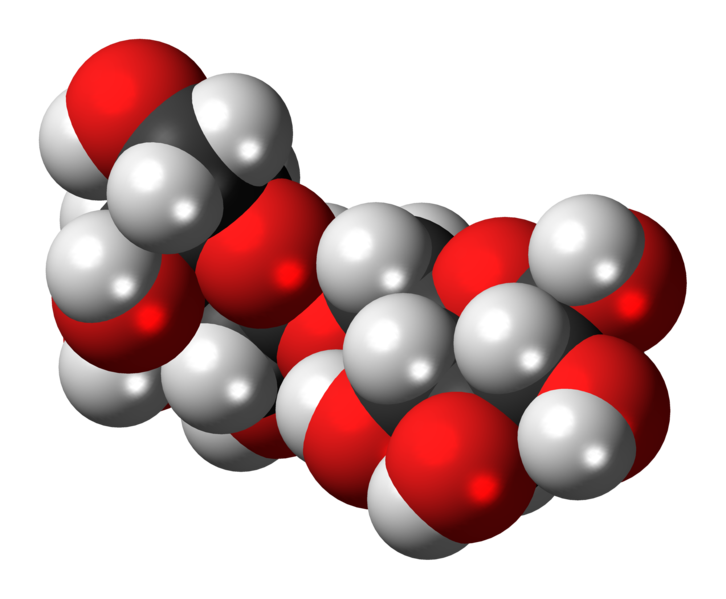 File:Allolactose-3D-spacefill.png