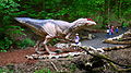 Allosaurus, DinoPark Košice