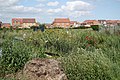 Allotment gardens - geograph.org.uk - 1567560.jpg