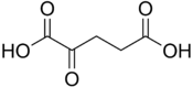 Alpha-ketoglutaric acid.png