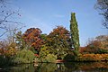 Charca en el Antiguo Jardín Botánico de Marburgo.