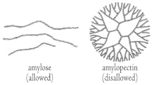 Struktura amylózy a amylopektinu