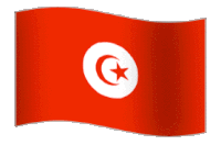 Animated-Flag-Tunisia.gif