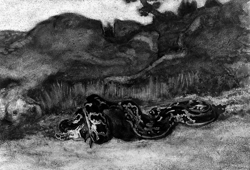 File:Antoine-Louis Barye - Python Swallowing a Roe-Deer - Walters 37835.jpg