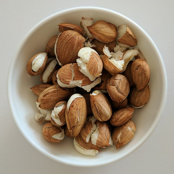 File:Apricot kernel in bowl.jpg