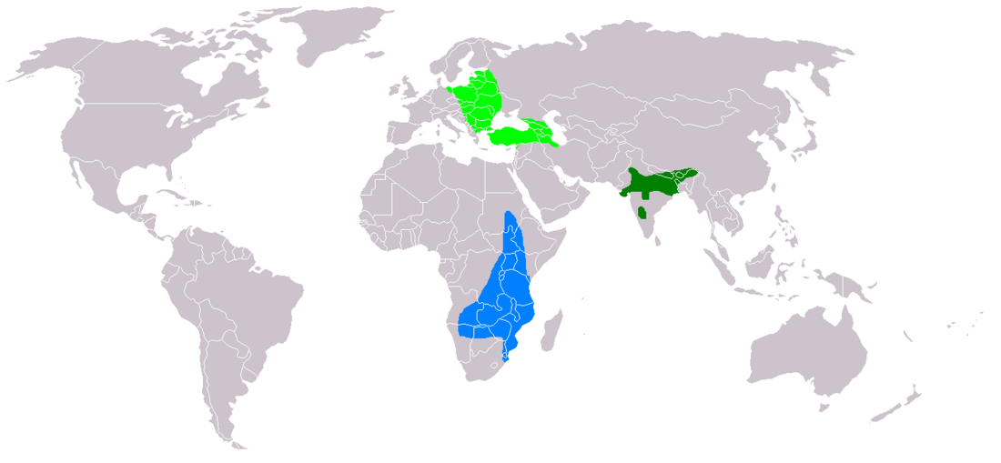 File:Aquila pomarina distribution map.png