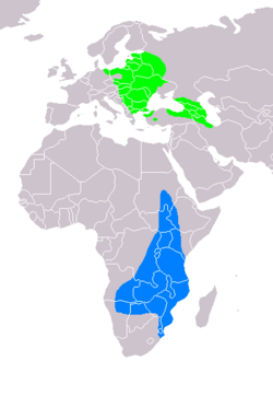 Aquila pomarina distribution map.png