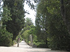 Arboretum de Trsteno.