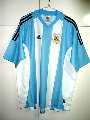 Argentina En La Copa Mundial De Fútbol De 2002: Clasificación, Preparación, Uniforme