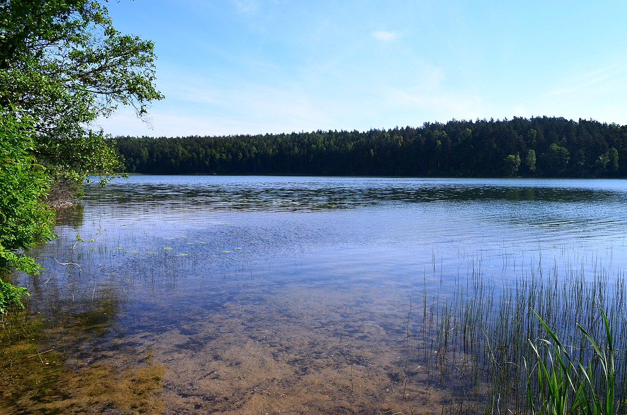 Озеро Дубингяй Литва