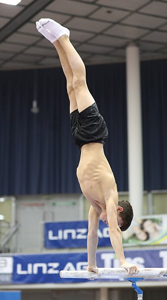 File:Austrian Future Cup 2018-11-23 Training Afternoon Parallel bars (Martin Rulsch) 0672.jpg