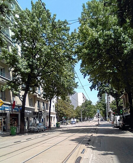 Avenue Maréchal Randon