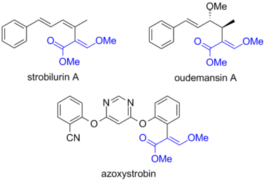 Структуры природных фунгицидов стробилирубина A и удемансина A и синтетического фунгицида азоксистробина. The common structural fragment responsible for the activity (toxophore) is highlighted in blue