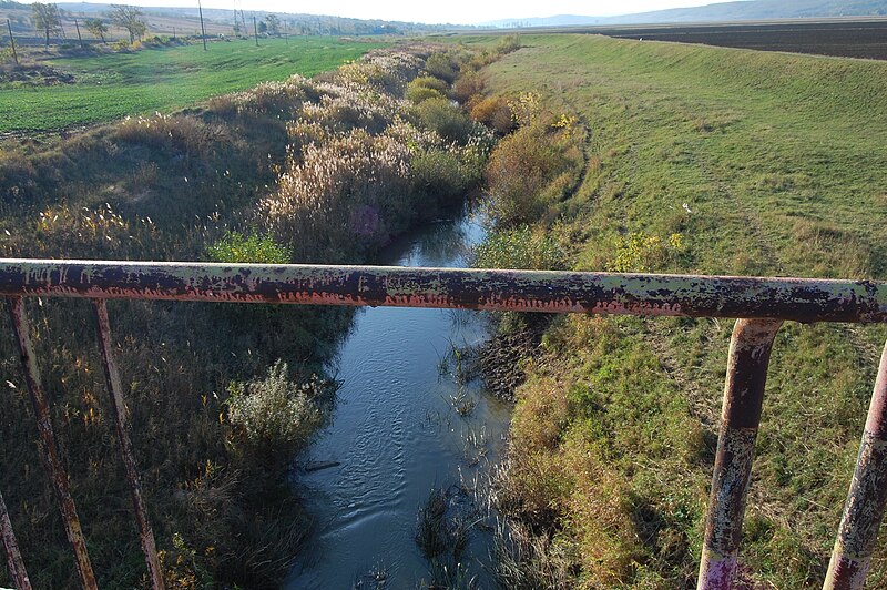 File:Bârlad River near Cănțălărești, Vaslui county.jpg