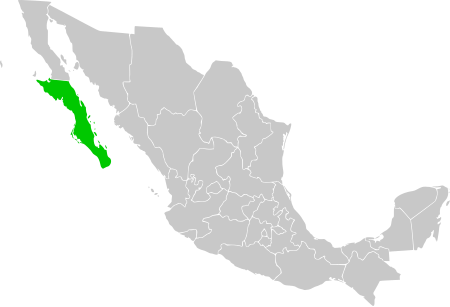 Baja_California_Sur