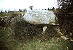 Ballygraney - Portal Tomb.jpg