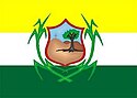 Bandeira de Timbaúba