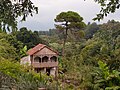 Jardin Botanique De Batoumi