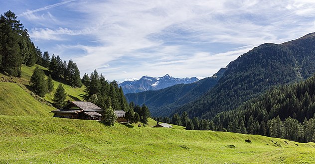 Griosch bei Prà San Peder.