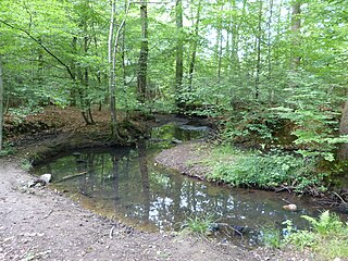 Beverbach (Wurm) River in Germany