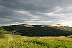 Une prairie de montagne dans la forêt nationale de Bighorn.