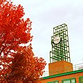 Binghamton University Clock Tower.jpg
