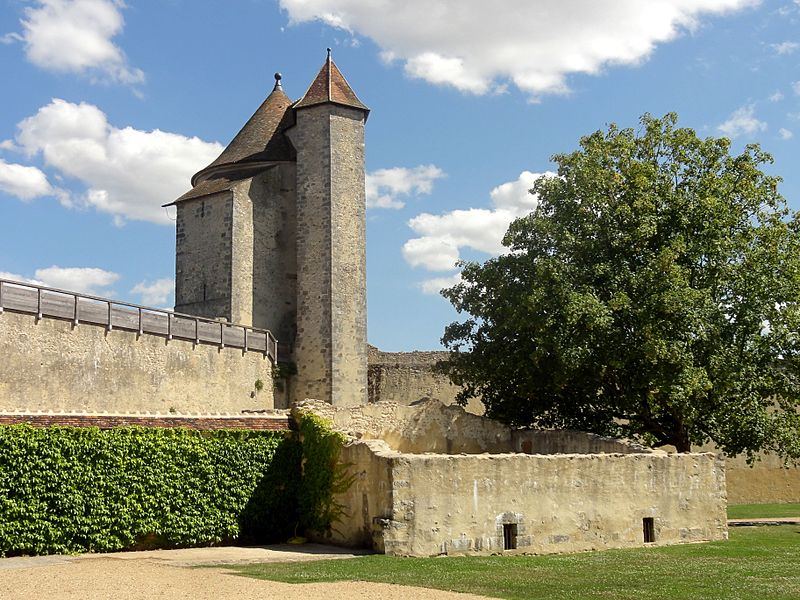 File:Blandy (77), château, tour des Archives 7.JPG